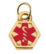 Load image into Gallery viewer, Gold Medical ID Mini Charm
