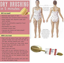 Load image into Gallery viewer, Yerba Prima Tampico Skin Brush (Pack of 1) - Natural Vegetable Fiber Bristles for Dry Skin Brushing
